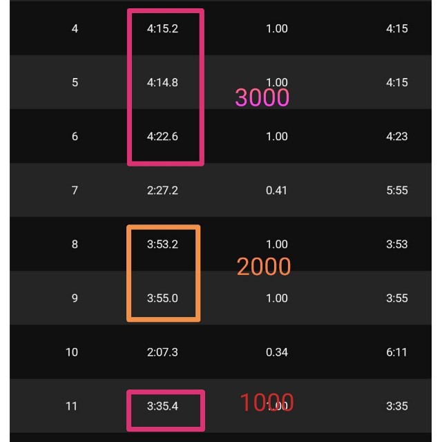 f:id:GoodMorningForRun:20230308192727j:image f:id:GoodMorningForRun:20230308192727j:image