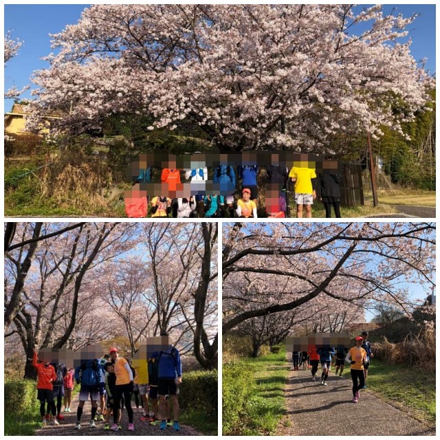 f:id:GoodMorningForRun:20230401203807j:image f:id:GoodMorningForRun:20230401203807j:image