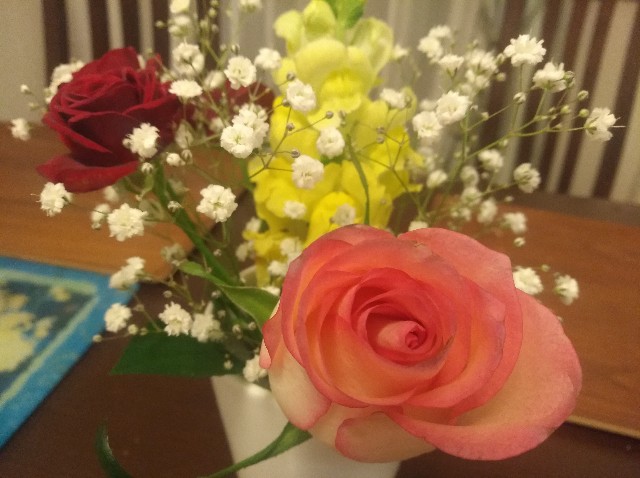 f:id:GoodMorningForRun:20230503044715j:image