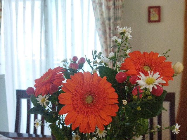 f:id:GoodMorningForRun:20231102094145j:image
