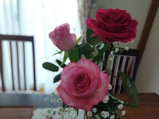 f:id:GoodMorningForRun:20231123175215j:image f:id:GoodMorningForRun:20231123175215j:image