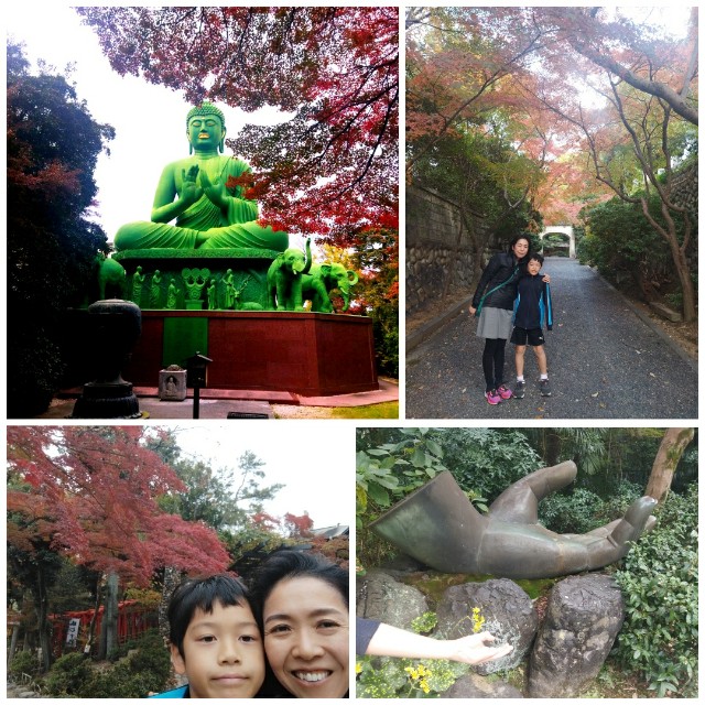 f:id:GoodMorningForRun:20231124154711j:image f:id:GoodMorningForRun:20231124154711j:image