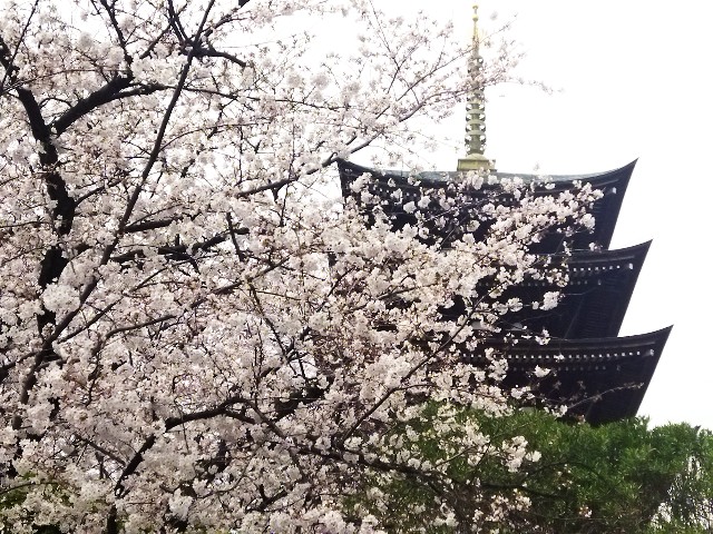 f:id:GoodMorningForRun:20240405205418j:image