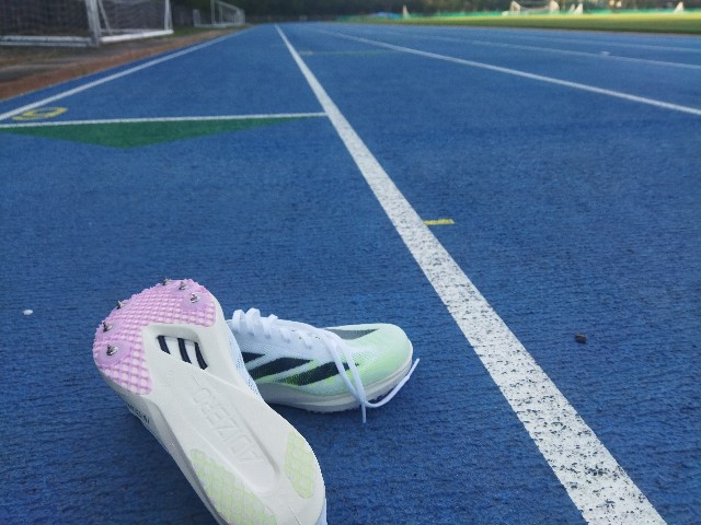 f:id:GoodMorningForRun:20240414203027j:image f:id:GoodMorningForRun:20240414203027j:image