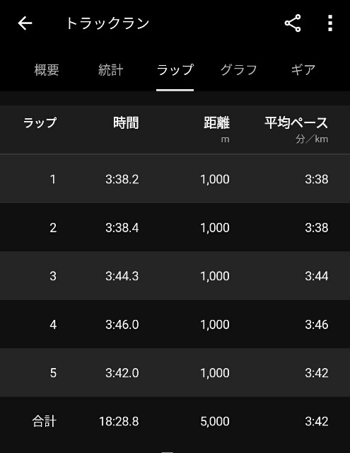 f:id:GoodMorningForRun:20240505195303j:image