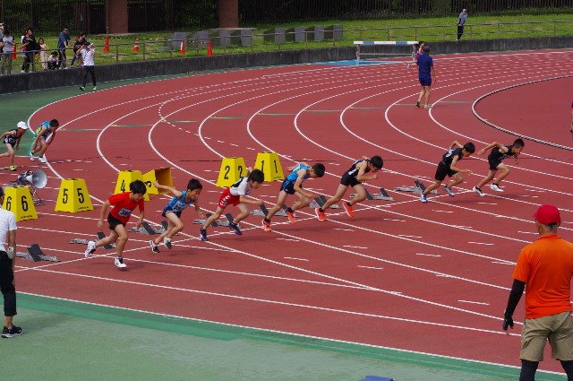 f:id:GoodMorningForRun:20240526210108j:image