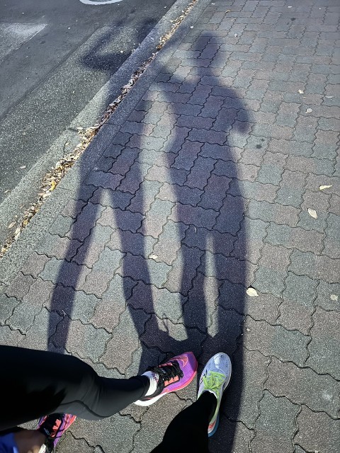 f:id:GoodMorningForRun:20241113200802j:image f:id:GoodMorningForRun:20241113200802j:image