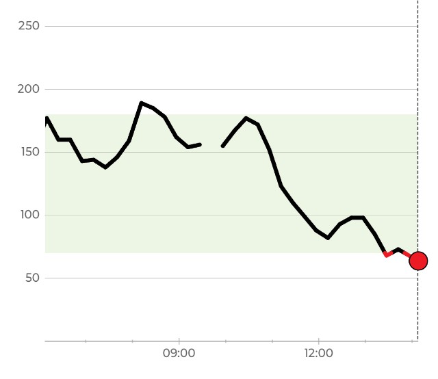 f:id:GoodMorningForRun:20241208150045j:image
