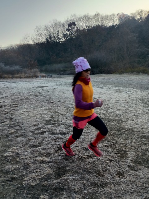 f:id:GoodMorningForRun:20250111170131j:image