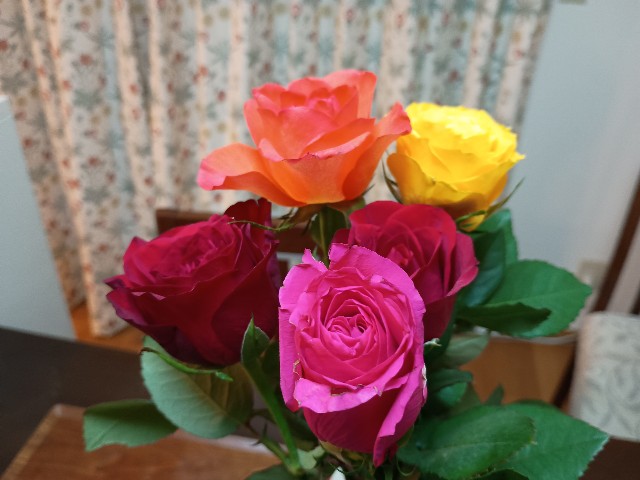 f:id:GoodMorningForRun:20250214190519j:image
