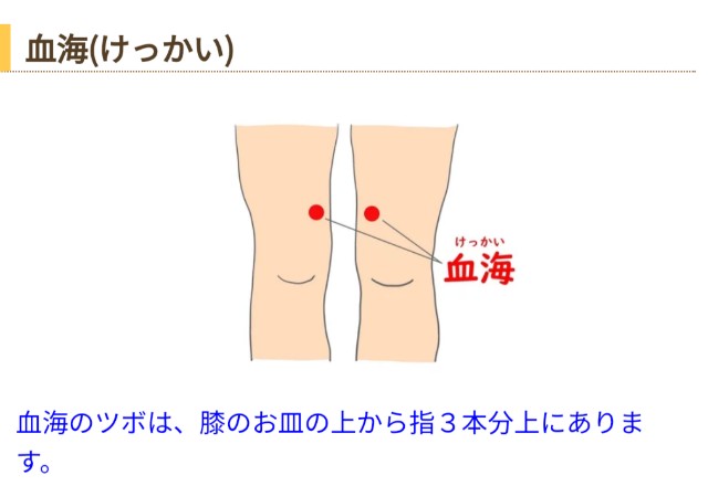 f:id:GoodMorningForRun:20250227172119j:image f:id:GoodMorningForRun:20250227172119j:image