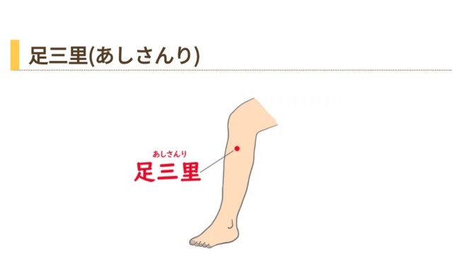f:id:GoodMorningForRun:20250227172132j:image f:id:GoodMorningForRun:20250227172132j:image