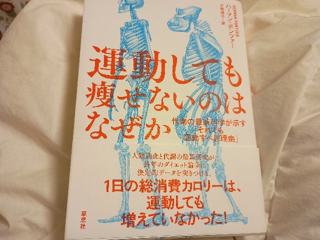 f:id:GoodMorningForRun:20250318201205j:image