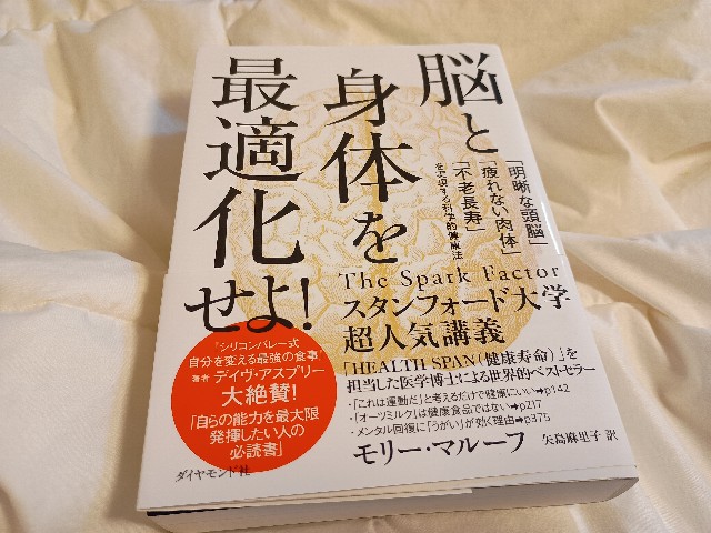 f:id:GoodMorningForRun:20250318203135j:image