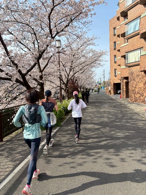 f:id:GoodMorningForRun:20250405185734j:image f:id:GoodMorningForRun:20250405185734j:image