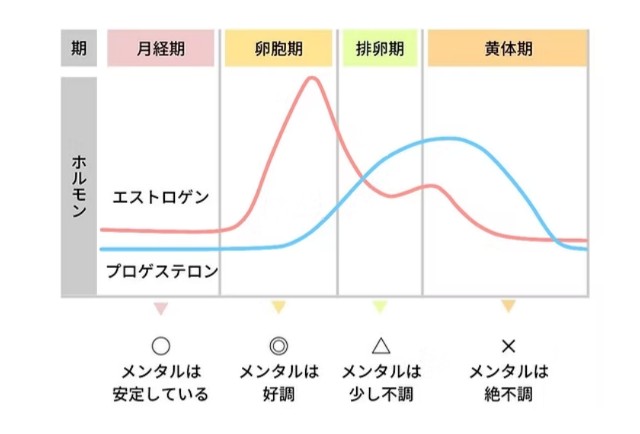 f:id:GoodMorningForRun:20250415211255j:image