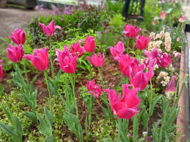 f:id:GoodMorningForRun:20250423202539j:image