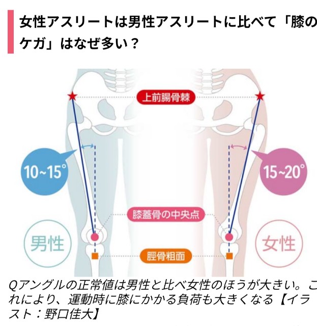 f:id:GoodMorningForRun:20250601200706j:image f:id:GoodMorningForRun:20250601200706j:image