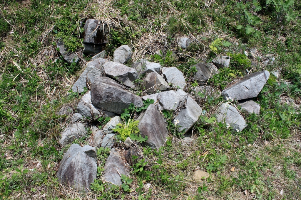 f:id:Gorgon:20170524205730j:plain f:id:Gorgon:20170524205730j:plain