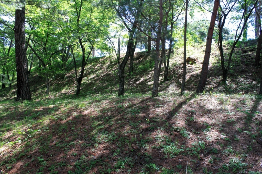 f:id:Gorgon:20170618200003j:plain f:id:Gorgon:20170618200003j:plain