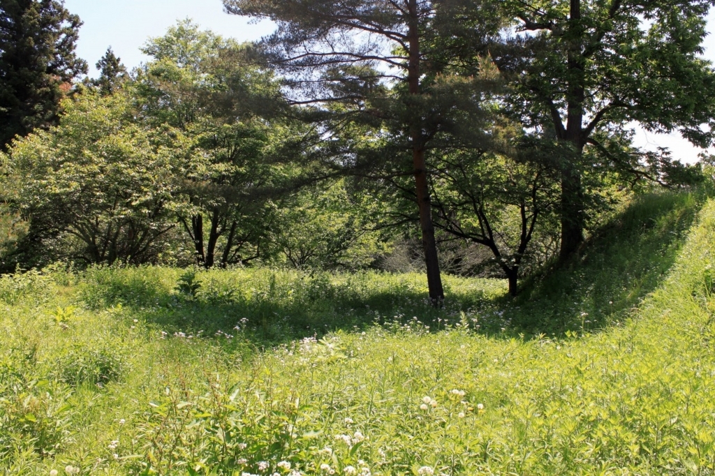 f:id:Gorgon:20170618202312j:plain f:id:Gorgon:20170618202312j:plain