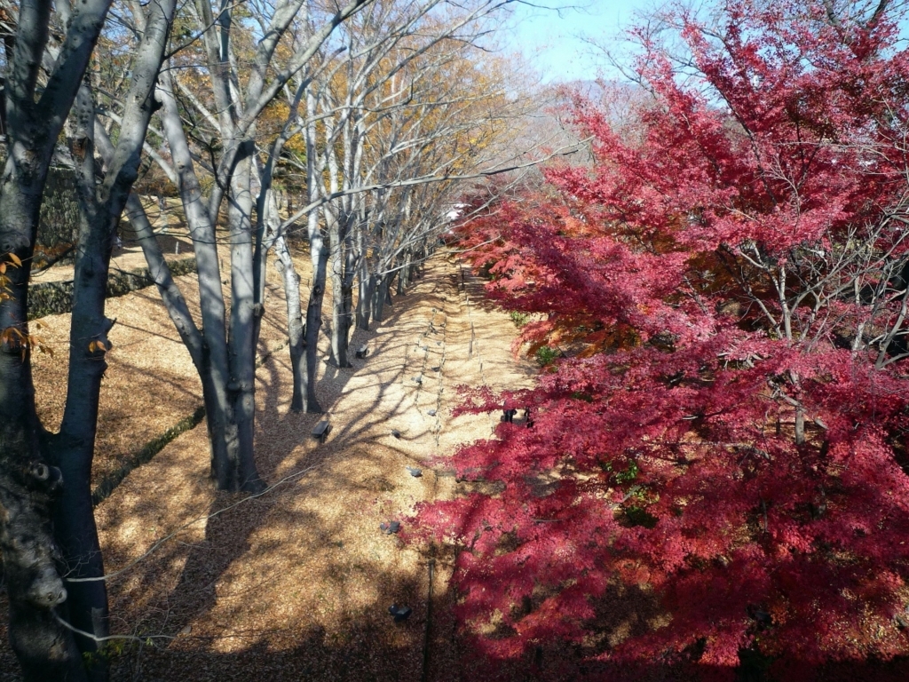 f:id:Gorgon:20170702090539j:plain f:id:Gorgon:20170702090539j:plain