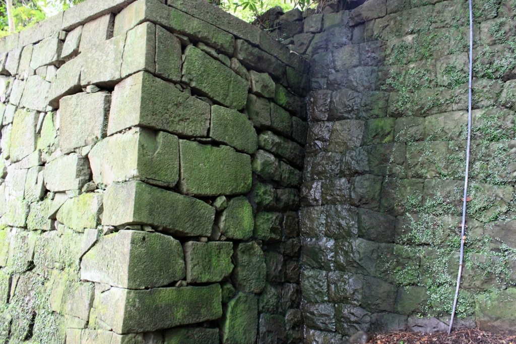 f:id:Gorgon:20171119165115j:plain f:id:Gorgon:20171119165115j:plain