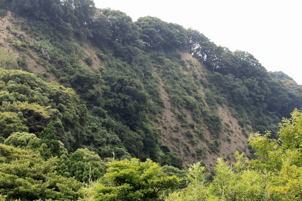 f:id:Gorgon:20171119181941j:plain f:id:Gorgon:20171119181941j:plain