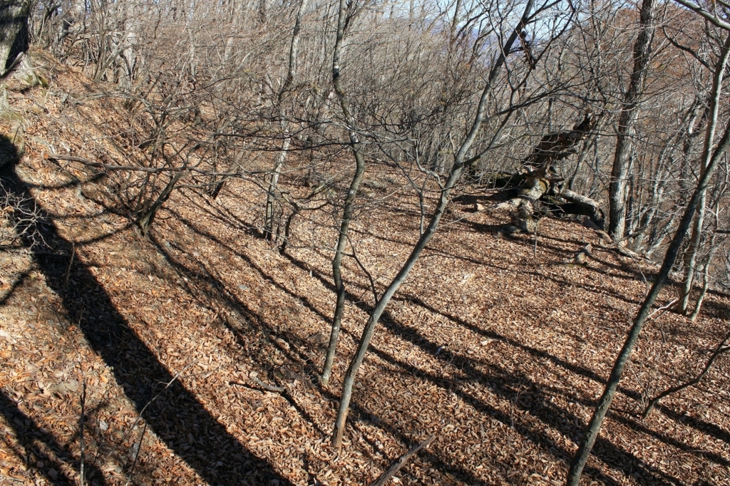 f:id:Gorgon:20180102091701j:plain