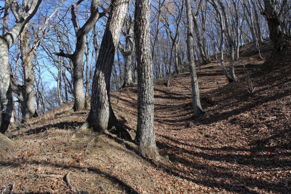 f:id:Gorgon:20180102094941j:plain