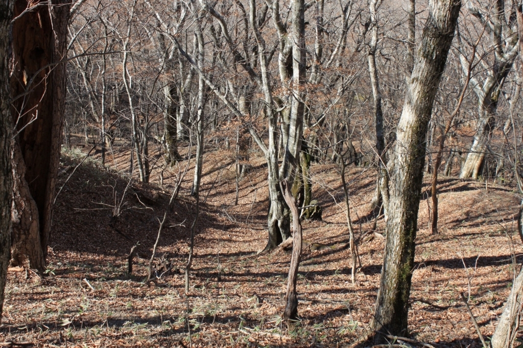 f:id:Gorgon:20180102095755j:plain