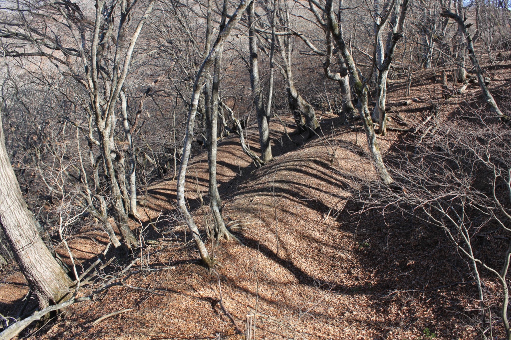 f:id:Gorgon:20180102103123j:plain