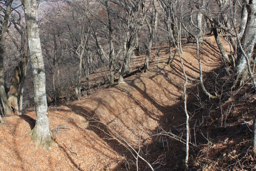 f:id:Gorgon:20180102105627j:plain