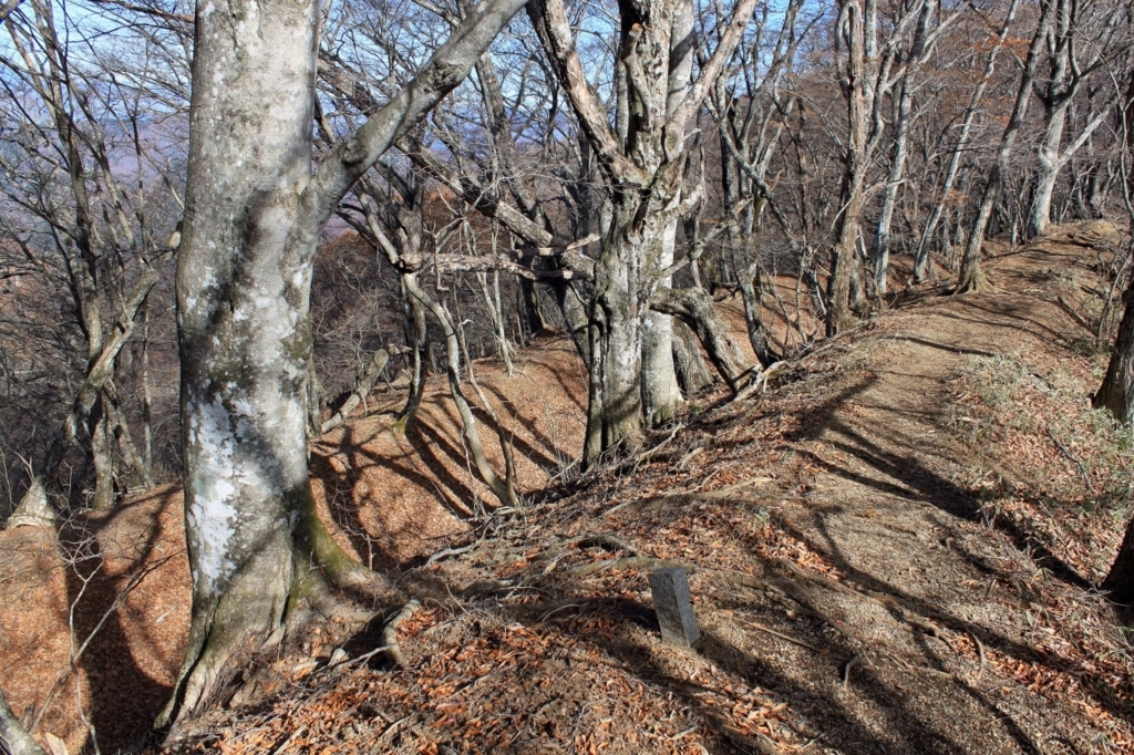 f:id:Gorgon:20180102110649j:plain