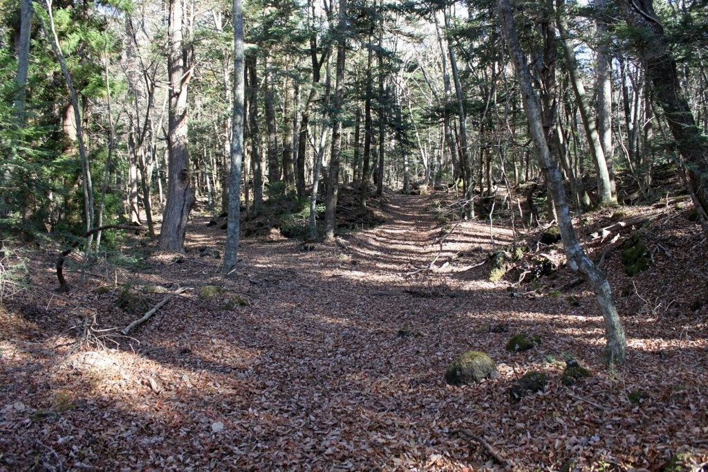 f:id:Gorgon:20180128091908j:plain