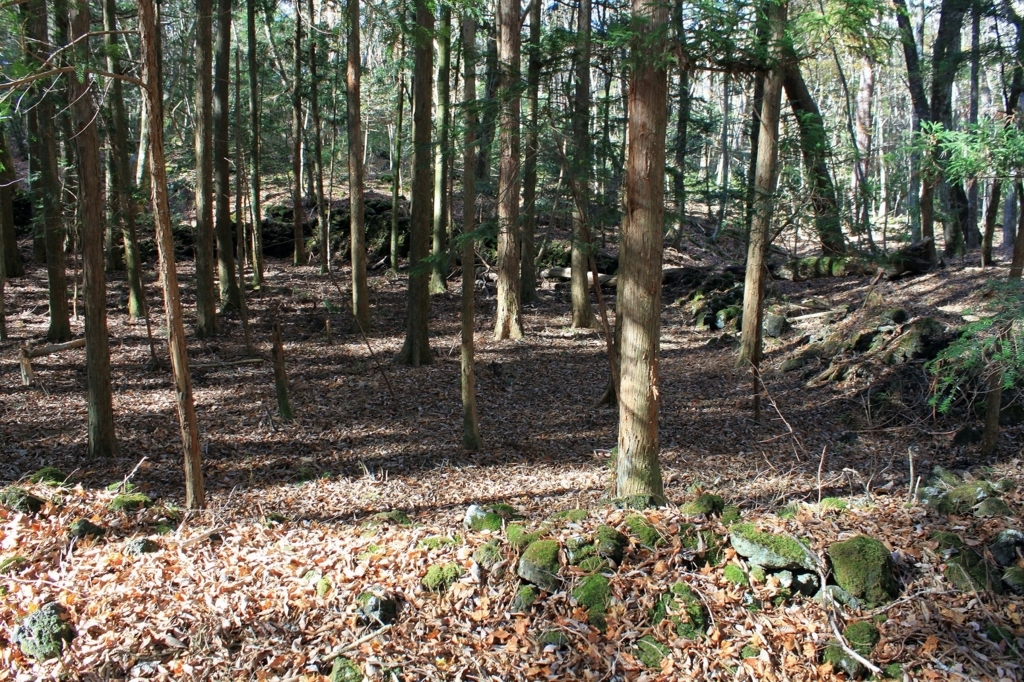 f:id:Gorgon:20180128093258j:plain