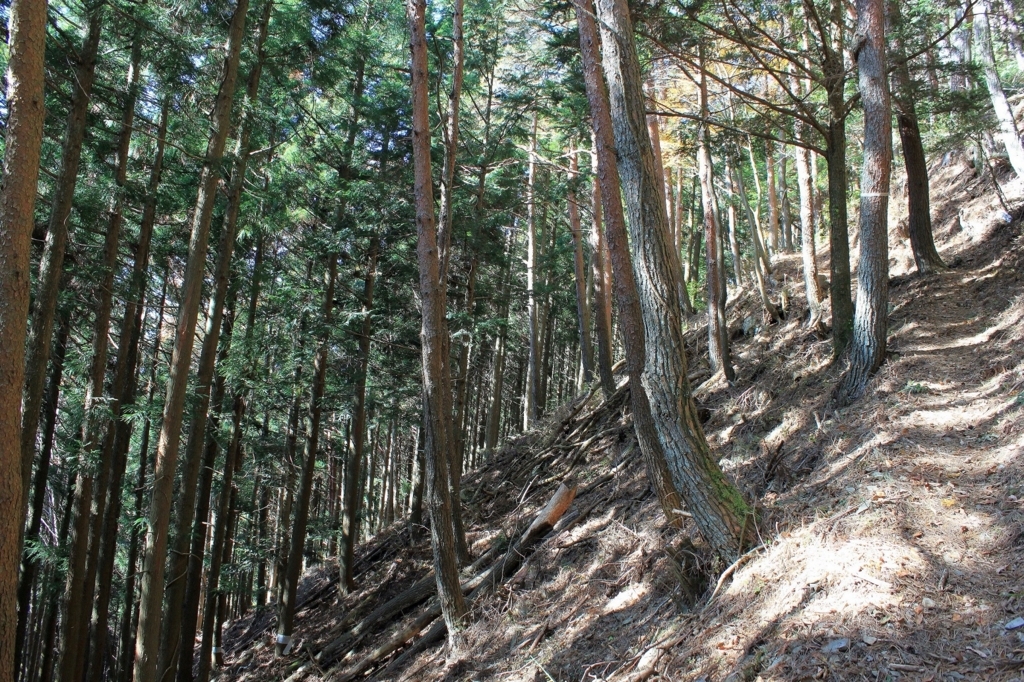 f:id:Gorgon:20180128095027j:plain