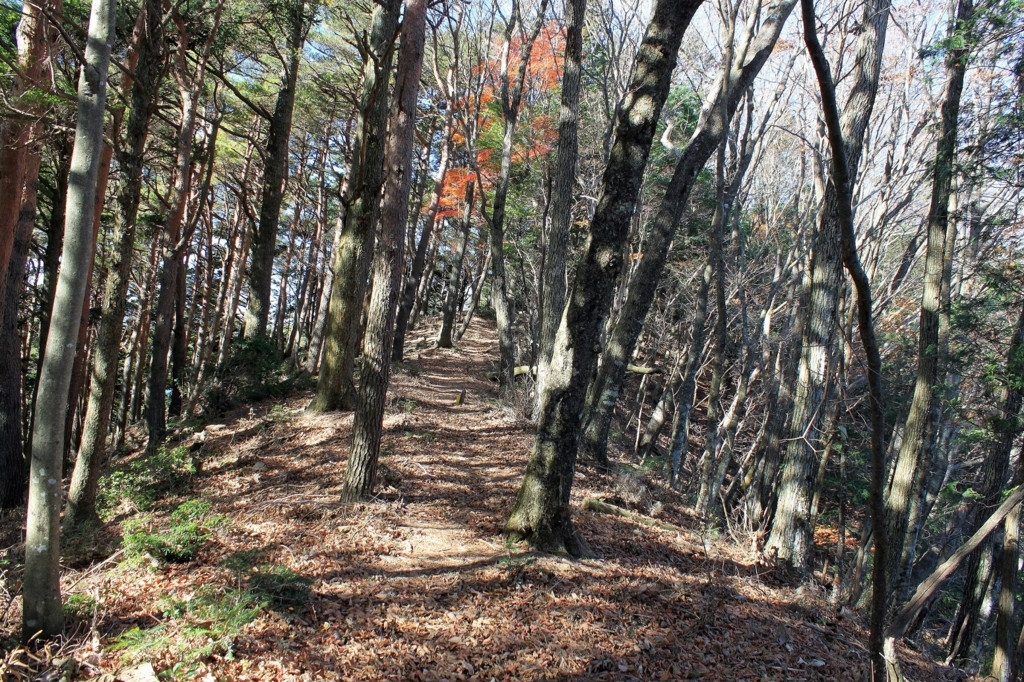 f:id:Gorgon:20180128095924j:plain