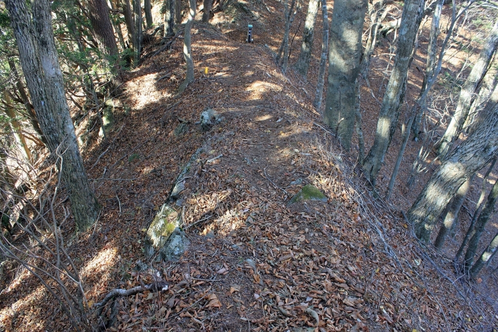 f:id:Gorgon:20180128100337j:plain