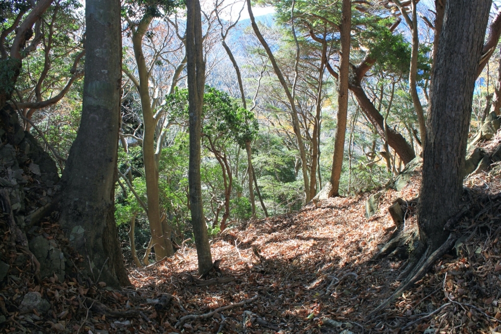 f:id:Gorgon:20180128101608j:plain