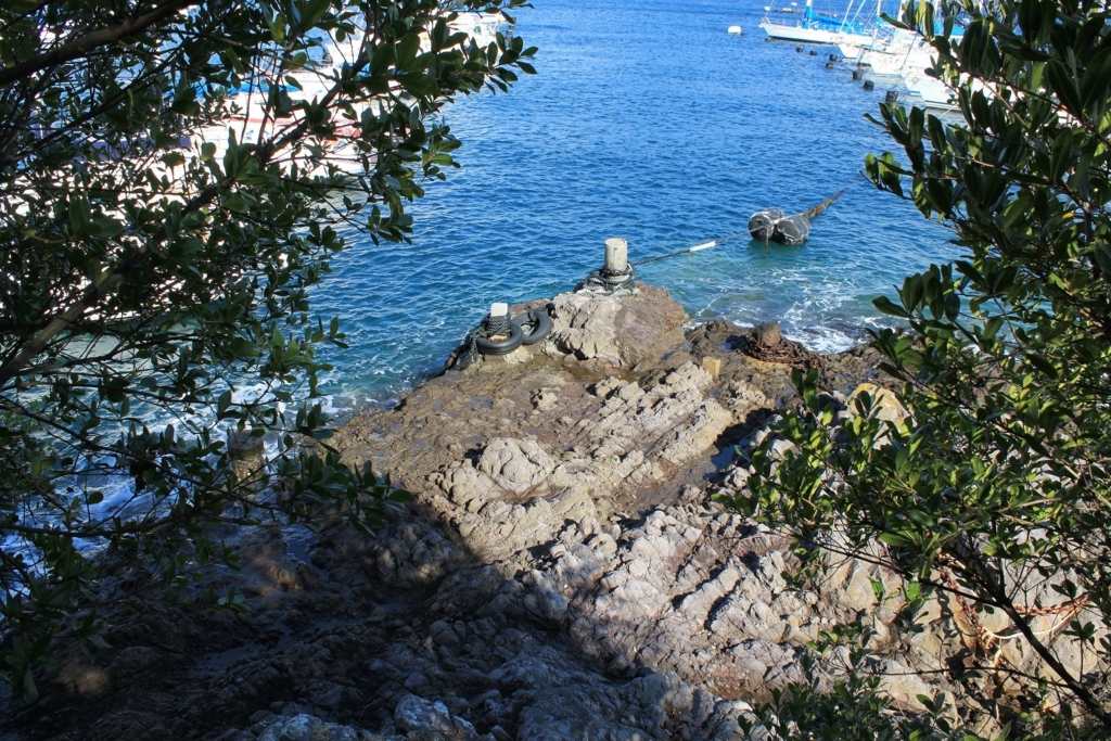 f:id:Gorgon:20180311113646j:plain f:id:Gorgon:20180311113646j:plain