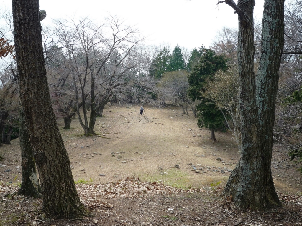 f:id:Gorgon:20180407090955j:plain f:id:Gorgon:20180407090955j:plain