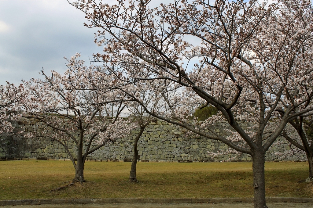 f:id:Gorgon:20181028101045j:plain