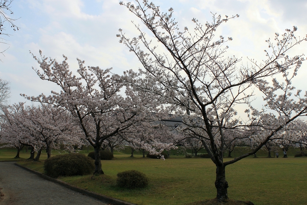 f:id:Gorgon:20181028102830j:plain