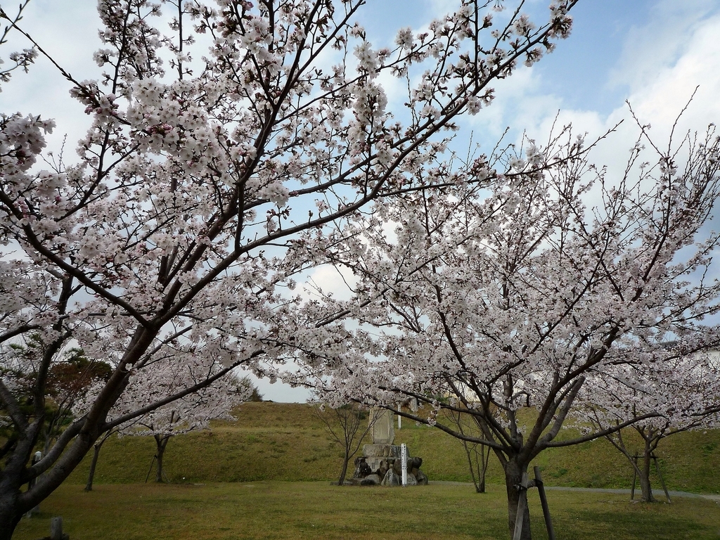 f:id:Gorgon:20181028103155j:plain