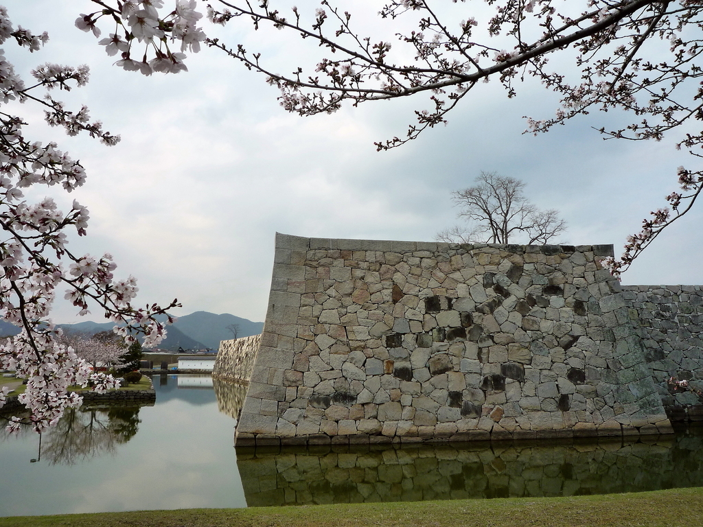 f:id:Gorgon:20181028104557j:plain