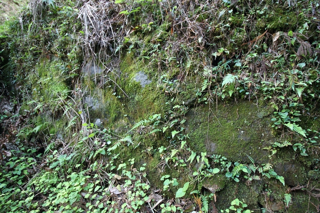 f:id:Gorgon:20181202090846j:plain f:id:Gorgon:20181202090846j:plain