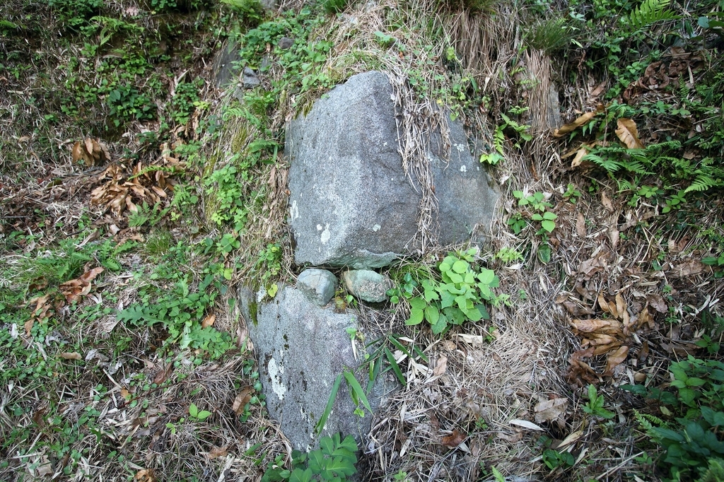 f:id:Gorgon:20181202092038j:plain f:id:Gorgon:20181202092038j:plain