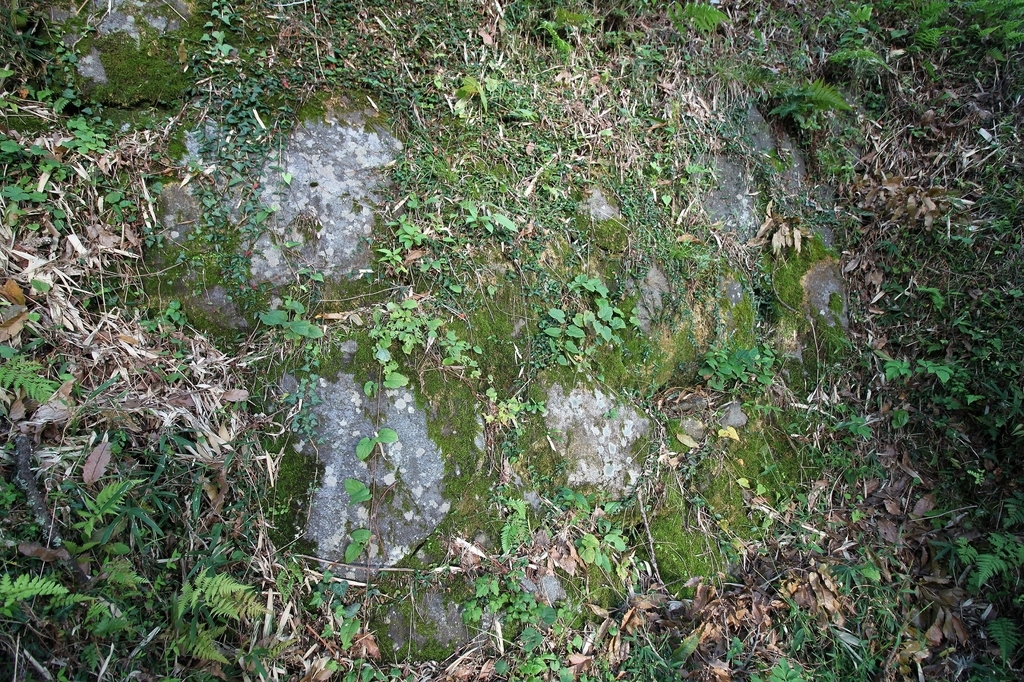 f:id:Gorgon:20181202093245j:plain f:id:Gorgon:20181202093245j:plain