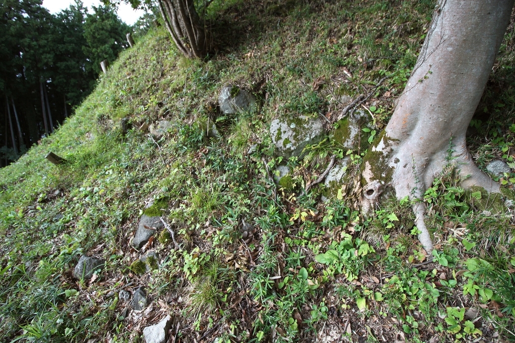 f:id:Gorgon:20181202095901j:plain f:id:Gorgon:20181202095901j:plain